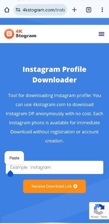 Instagram Profile Downloader (3)